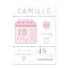 Affiche de Naissance Personnalisée en Rose et Bleu - 14